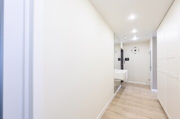 Bright hallway with white walls, a mirror, light wood floors, and a closet. Minimalist decor
