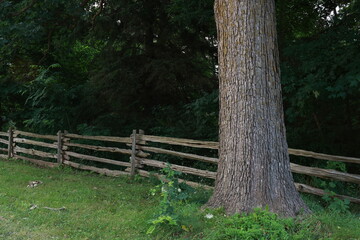 Countryside Fence