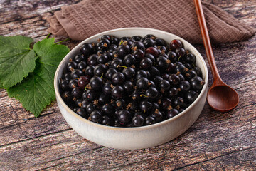 Sweet juicy Black currants berries
