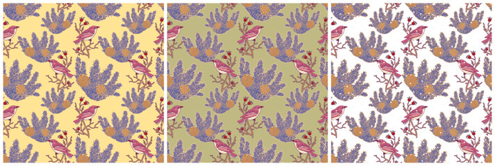 Set of three seamless winter patterns. Pink birds on a blue branch with cones. Wallpaper on three different background colors. Boho style design for gift wrapping paper.