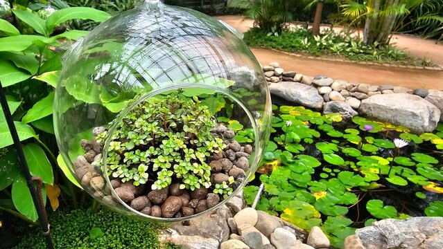 Glass Terrarium with Mini Plants Overlooking Pond with Water Lilies, 유리 테라리움 속 미니 식물과 연못 풍경