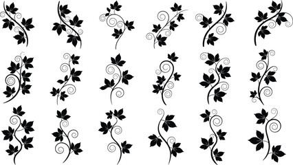 Floral vine silhouette set, decorative leaf swirl, botanical ornament vector, elegant plant clipart, nature curl design, black artwork © Hasib World