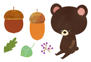 クマとどんぐり