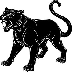 Obraz premium black and white tiger