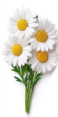 Obraz premium Close up of White Daisies Bouquet on White Background, Generative AI