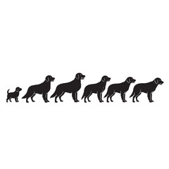 Dog life cycle silhouette vector