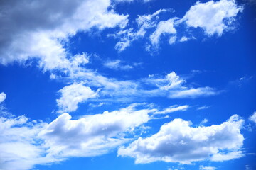 Fototapeta premium 青空と白い雲