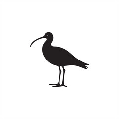 Elegant Curlew Silhouette Vector Art – Long-Legged Wading Bird with Distinctive Downcurved Beak, Minimal Black Outline Perfect for Wetland Wildlife Themes, Nature Logos, and Coastal Decorative Prints
