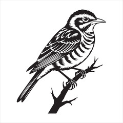 Black and white illustration of a small bird perched on a branch twig nature