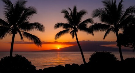 Fiery Sunset Silhouette: Palm Trees Framing Volcanic Island at Dusk