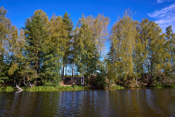 Obraz premium Serene Riverbank Scene with Lush Greenery