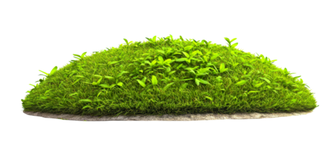 Small grassy mound with emerging green sprouts on a transparent background