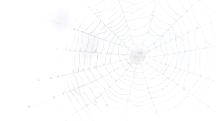 Delicate spiderweb glistening with morning dew, creating a mystical nature scene, perfect for adding a touch of intrigue and natural beauty to your designs