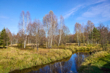 Tranquil view of the river bank in autumn