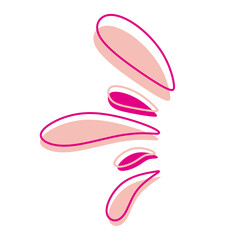 Minimalist Playful Abstract Petal Shape Illustration with Pink and White Colors