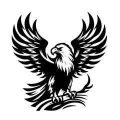 Black and white silhouette vector of on eagle white background  