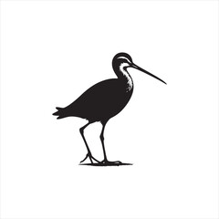 Elegant Godwit Silhouette Vector Art – Long-Legged Shorebird with Straight Beak, Minimal Black Outline Perfect for Coastal Wildlife Themes, Nature Logos, Wetland Illustrations, and Decorative Prints
