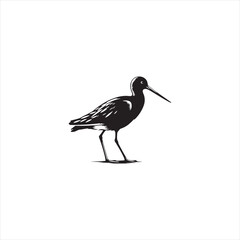 Obraz premium Elegant Godwit Silhouette Vector Art – Long-Legged Shorebird with Straight Beak, Minimal Black Outline Perfect for Coastal Wildlife Themes, Nature Logos, Wetland Illustrations, and Decorative Prints 