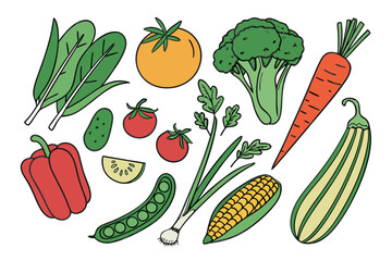 Colorful hand drawn collection of fresh vegetables on white background