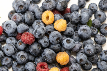 Blueberry and raspberry is tasty, healthy and delicious fruits. Background from fresh blueberries with red and yellow raspberries
