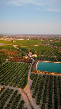 Drone video shows lush green agricultural fields with neatly arranged crops, irrigation ponds, and farm buildings under golden hour sunlight in rural Spain.