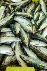 Obraz premium Top view of raw atlantic sardines for sale healthy eating concept