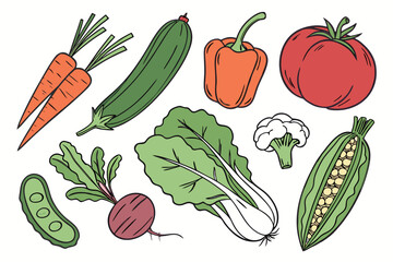 Assortment of fresh vegetables in a hand drawn style