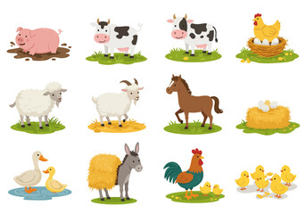 Farm animals illustration pig cows sheep goats horse donkey chickens duck with chick rooster with chicks nest