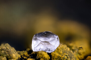 icosahedron clear Fluorite on Limonite. Specimen from Clara mine, Oberwolfach, Germany. Micro...