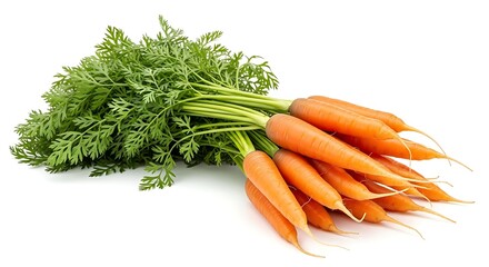 Fresh Carrots Isolated on Pure White Background