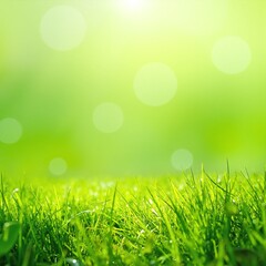 Obraz premium Lush green grass glistens under warm sunlight, creating a vibrant, inviting scene. A gentle breeze rustles through, enhancing the serene atmosphere.