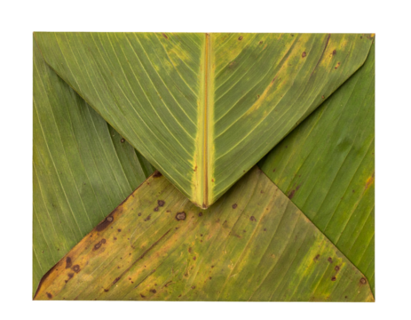 eco banana leaf envelope folded from green leaves on isolated white background
