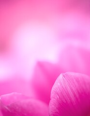 A vibrant cluster of delicate pink flowers in full bloom, set against a softly blurred background of lush greenery, creating a serene and dreamy atmosphere.