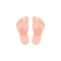 Human feet sole vector illustration in flat style. Perfect for anatomy diagrams, reflexology charts, medical education, foot massage guides, podiatry designs, healthcare materials and wellness graphic