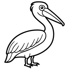Pelican line art vector