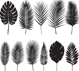 Fototapeta premium Black Leaf Silhouettes | High-Quality Leaf Illustrations