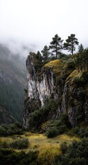 Misty Mountain Peak With Dense Forest
