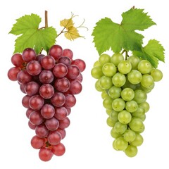 Fototapeta premium Two bunches of fresh red and green grapes with leaves