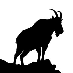 Silhouette of a majestic mountain goat standing proudly on a rocky outcrop against a stark white background.