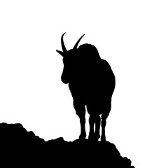 A majestic mountain goat silhouette standing proud on a rocky cliff, symbolizing wilderness and freedom.