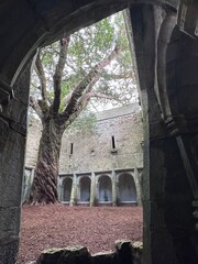 Naklejka premium old stone church, Killarney 
