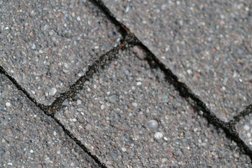 Obraz premium Outdoor pavement with stone cement tiles sealed with resin in joints