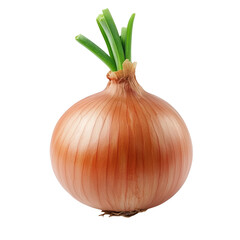 Fresh Brown Onion with Green Sprouts Isolated on Black Background