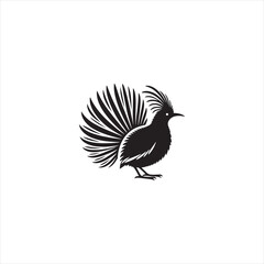 Elegant Lyrebird Bird Vector Silhouette Illustration Featuring Long Flowing Tail Feathers, Detailed Avian Shape, Perfect for Wildlife Art, Nature Designs, Logos, and Ornamental Decorative Graphic Proj