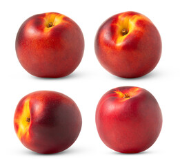 Whole nectarine peach collection isolated. Nectarine fruits set.