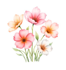 Watercolor pink and peach flowers illustration, floral clipart, isolated transparent background
