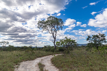 Fototapeta premium paisagem natural na cidade Cavalcante, Estado de Goiás, Brasil, região da chapada dos veadeiros