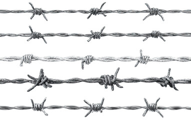 Multiple parallel lines of barbed wire