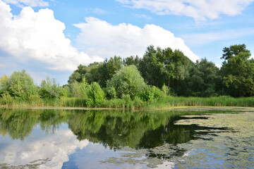 Serene Reflection of Lush Greenery on a Calm Lake nature background