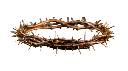 Golden Crown of Thorns with Sharp Spikes and Reflections